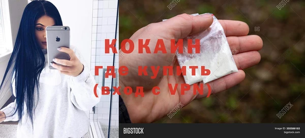 a pvp Новозыбков