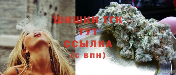 a pvp Новозыбков