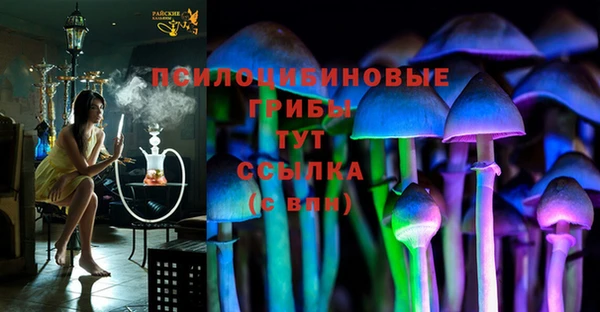 mdpv Новокубанск