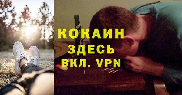 a pvp Новозыбков