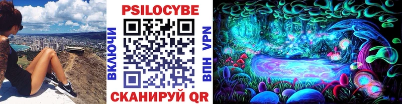 сайты даркнета официальный сайт  Бабушкин  Галлюциногенные грибы Psilocybine cubensis 