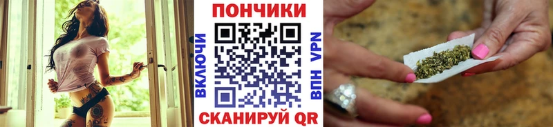 Шишки марихуана планчик  купить наркоту  Бабушкин 